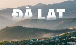 THAM QUAN DU LỊCH - ĐÀ LẠT  2023